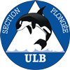 ULB Section Plongée         » Home Page